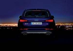 Audi SQ5 TDI 2013 года  (WW)
